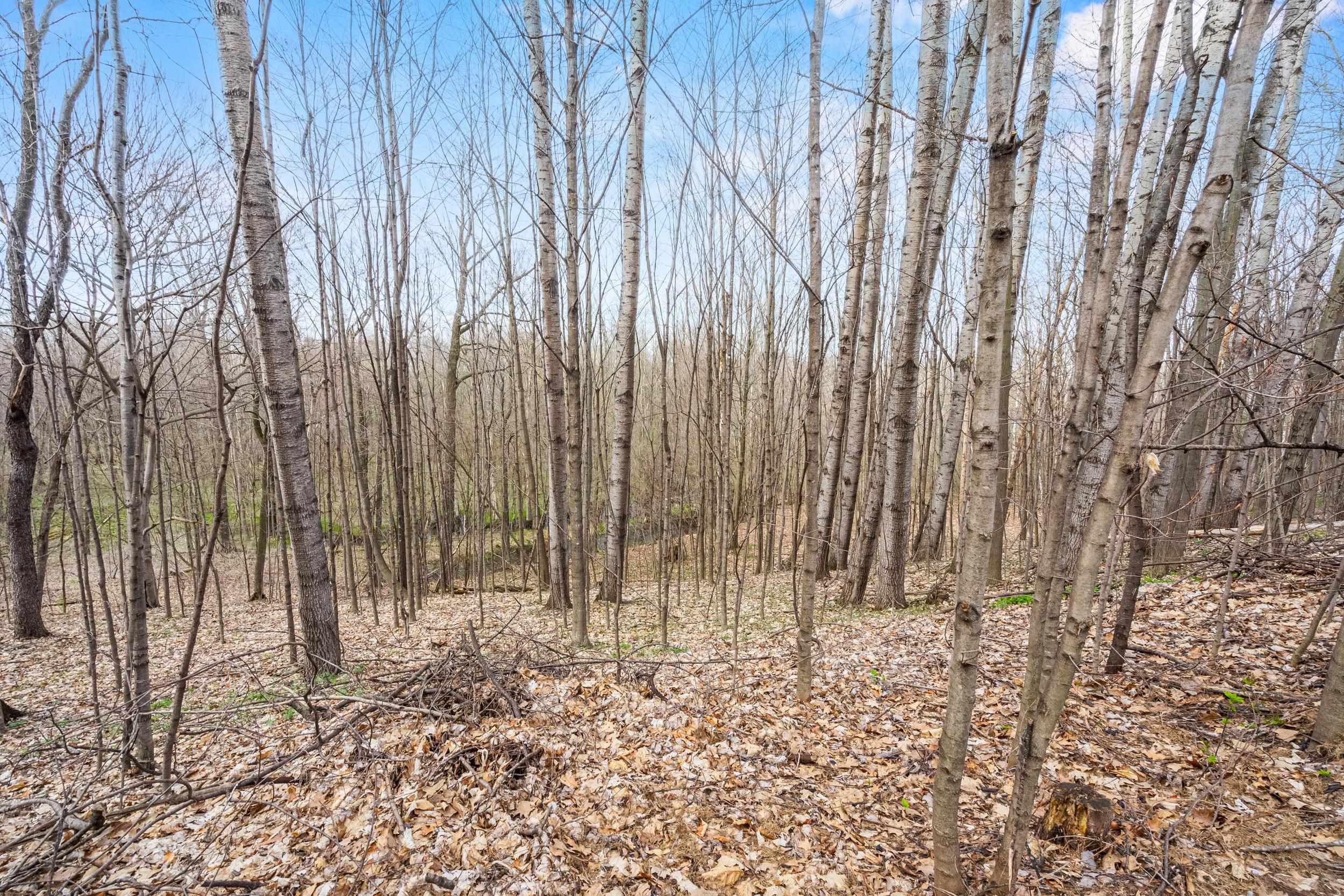 3062 Hawk Ridge Trail Suamico, WI 54313 - Photo 18 of 67