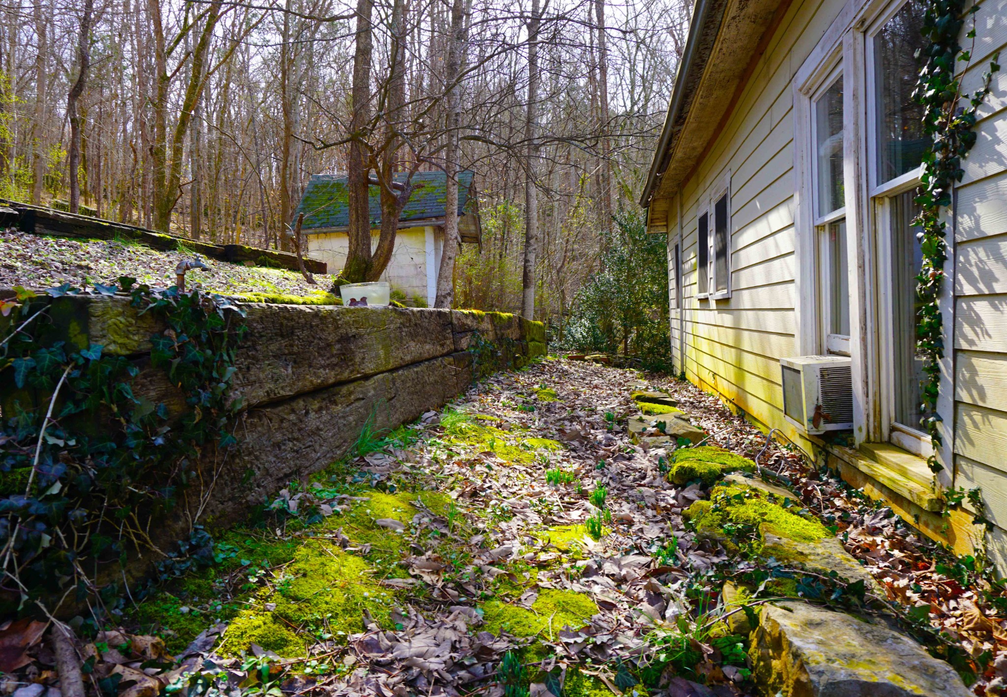 140 Hoot Owl Hollow Road Watertown, TN 37184 - Photo 2 of 21 a view of a backyard with pathway
