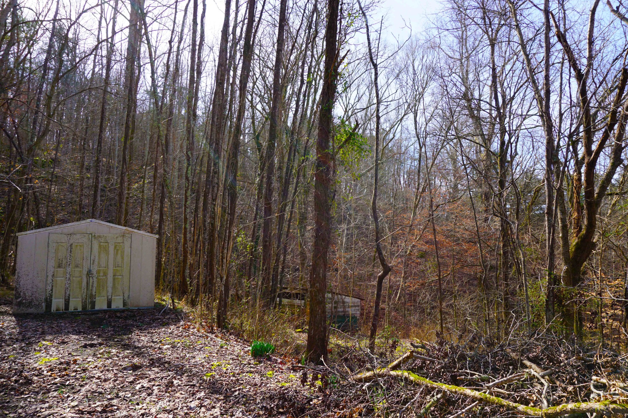 140 Hoot Owl Hollow Road Watertown, TN 37184 - Photo 18 of 21 a view of a backyard