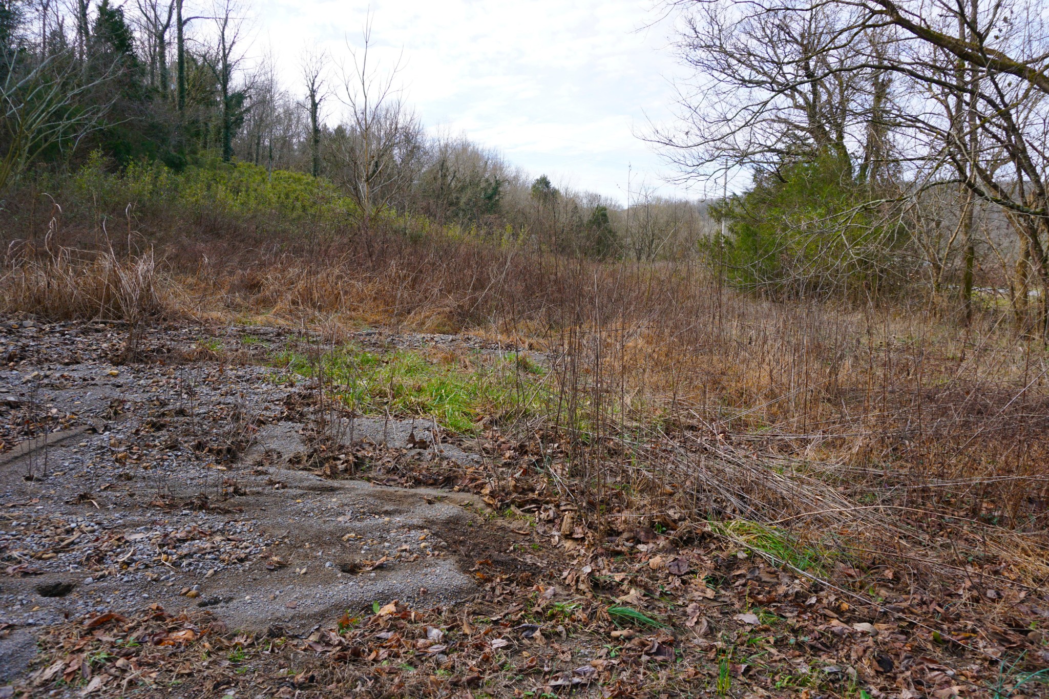 140 Hoot Owl Hollow Road Watertown, TN 37184 - Photo 19 of 21 a view of a yard