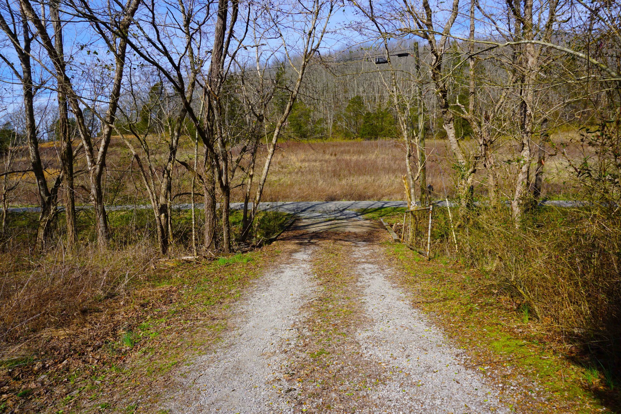 140 Hoot Owl Hollow Road Watertown, TN 37184 - Photo 21 of 21 a view of a yard with an trees