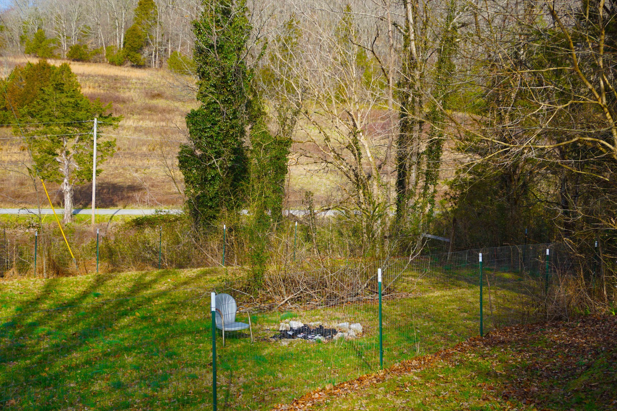 140 Hoot Owl Hollow Road Watertown, TN 37184 - Photo 6 of 21 a view of yard