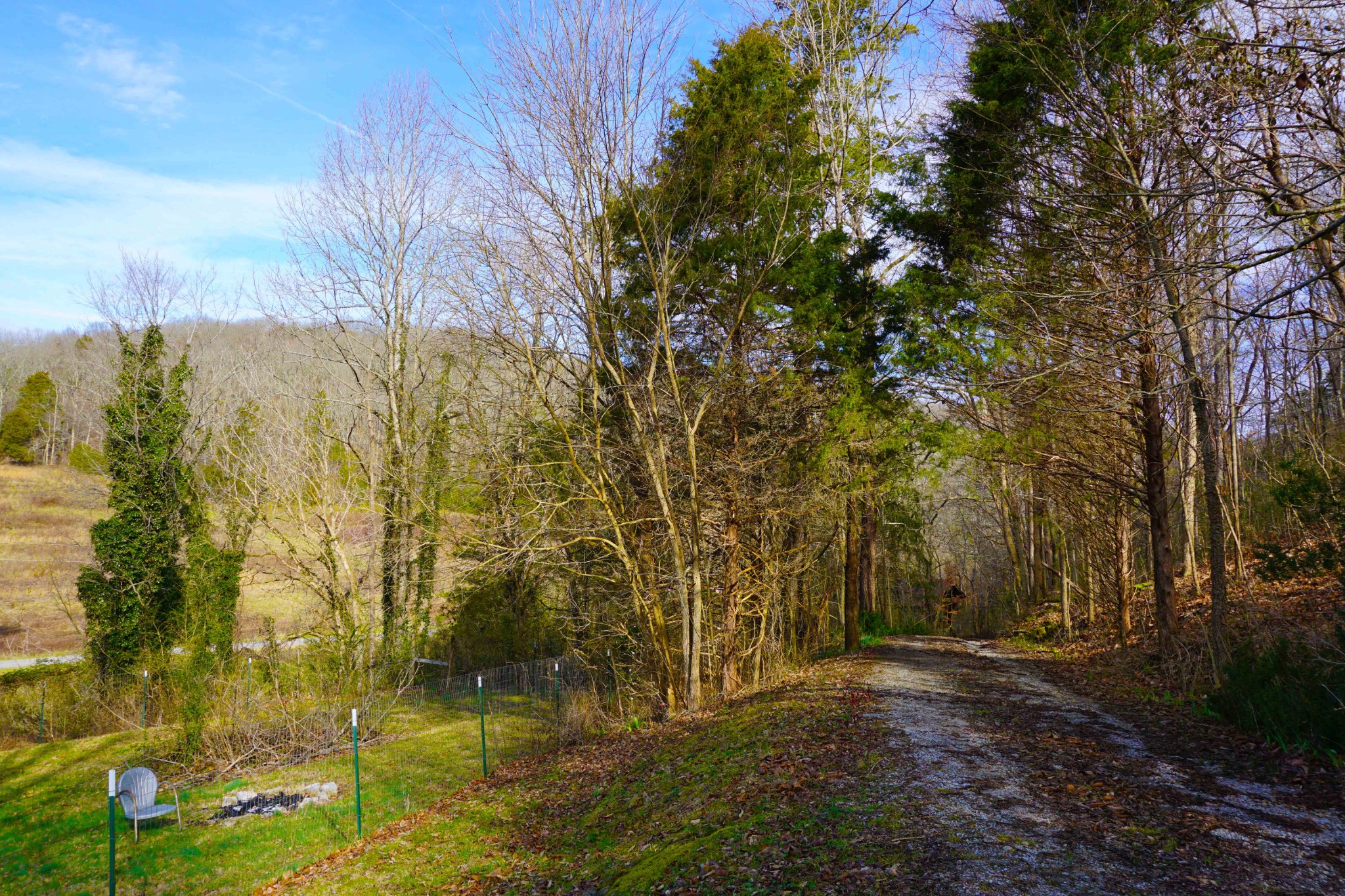 140 Hoot Owl Hollow Road Watertown, TN 37184 - Photo 7 of 21 a view of lake view