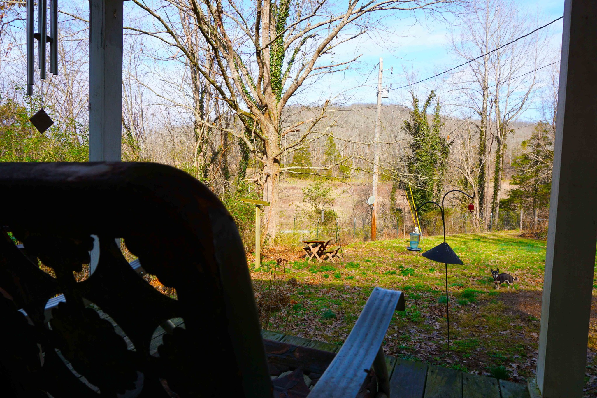 140 Hoot Owl Hollow Road Watertown, TN 37184 - Photo 8 of 21 a view of swimming pool from a balcony