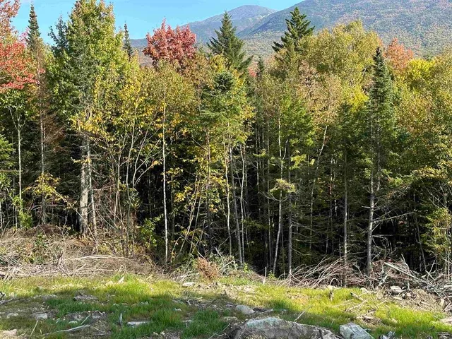 $196,000 | 0 Us Route 2, Randolph, NH 03593