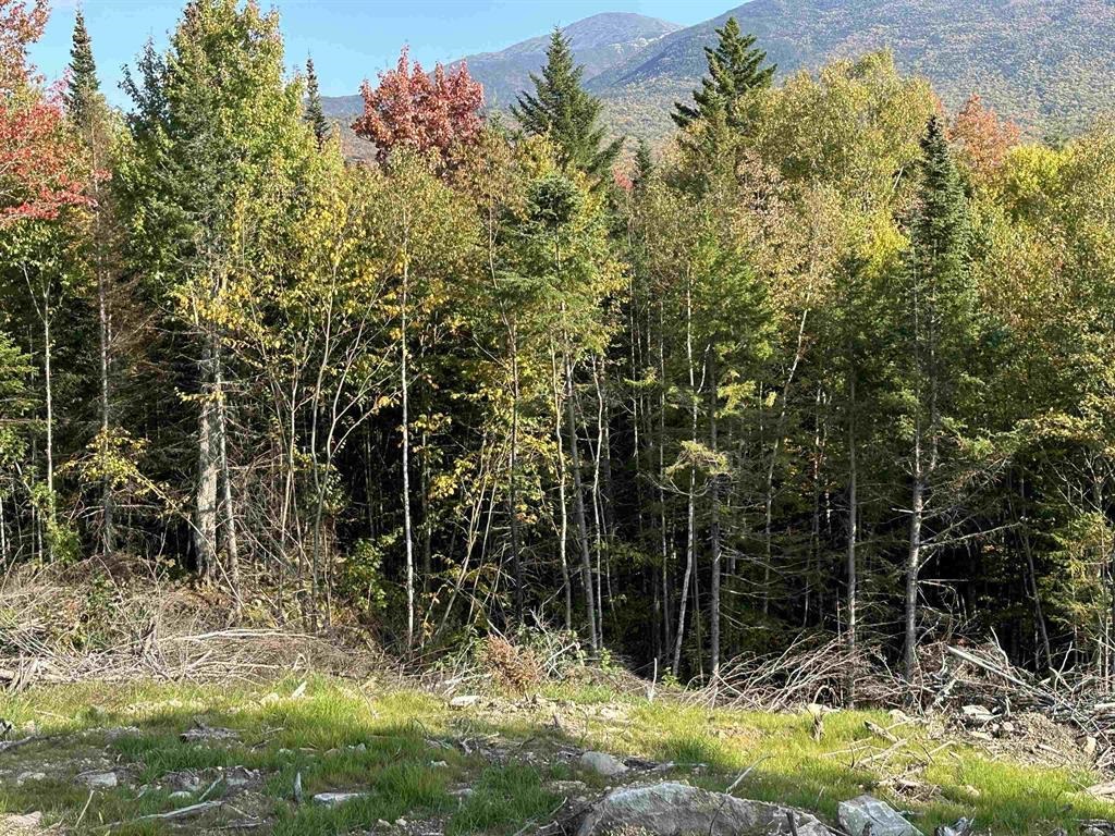 0 Us Route 2 Randolph, NH 03593 - Photo 13 of 19