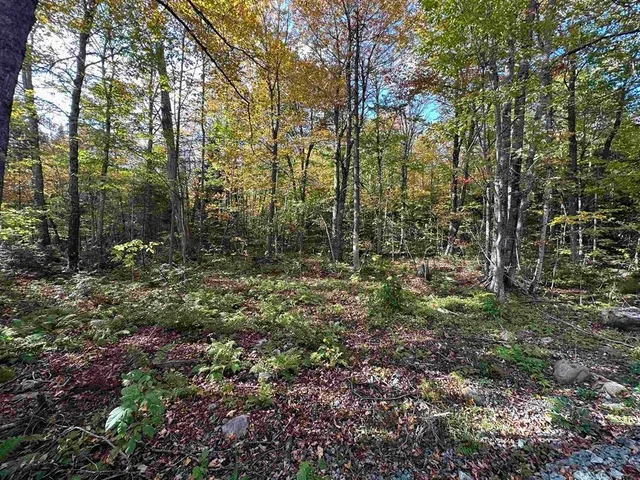 $196,000 | 0 Us Route 2, Randolph, NH 03593
