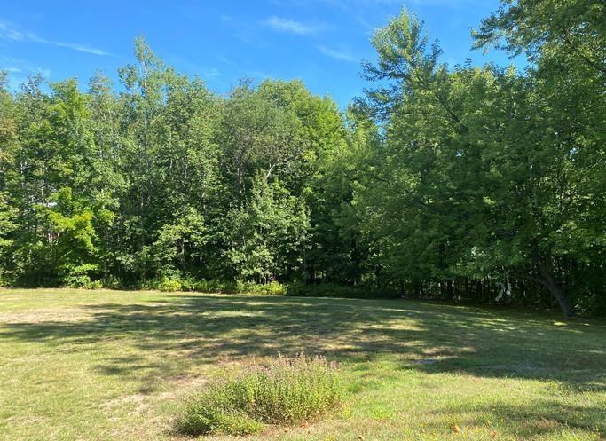 0 Us Route 2 Randolph, NH 03593 - Photo 6 of 19