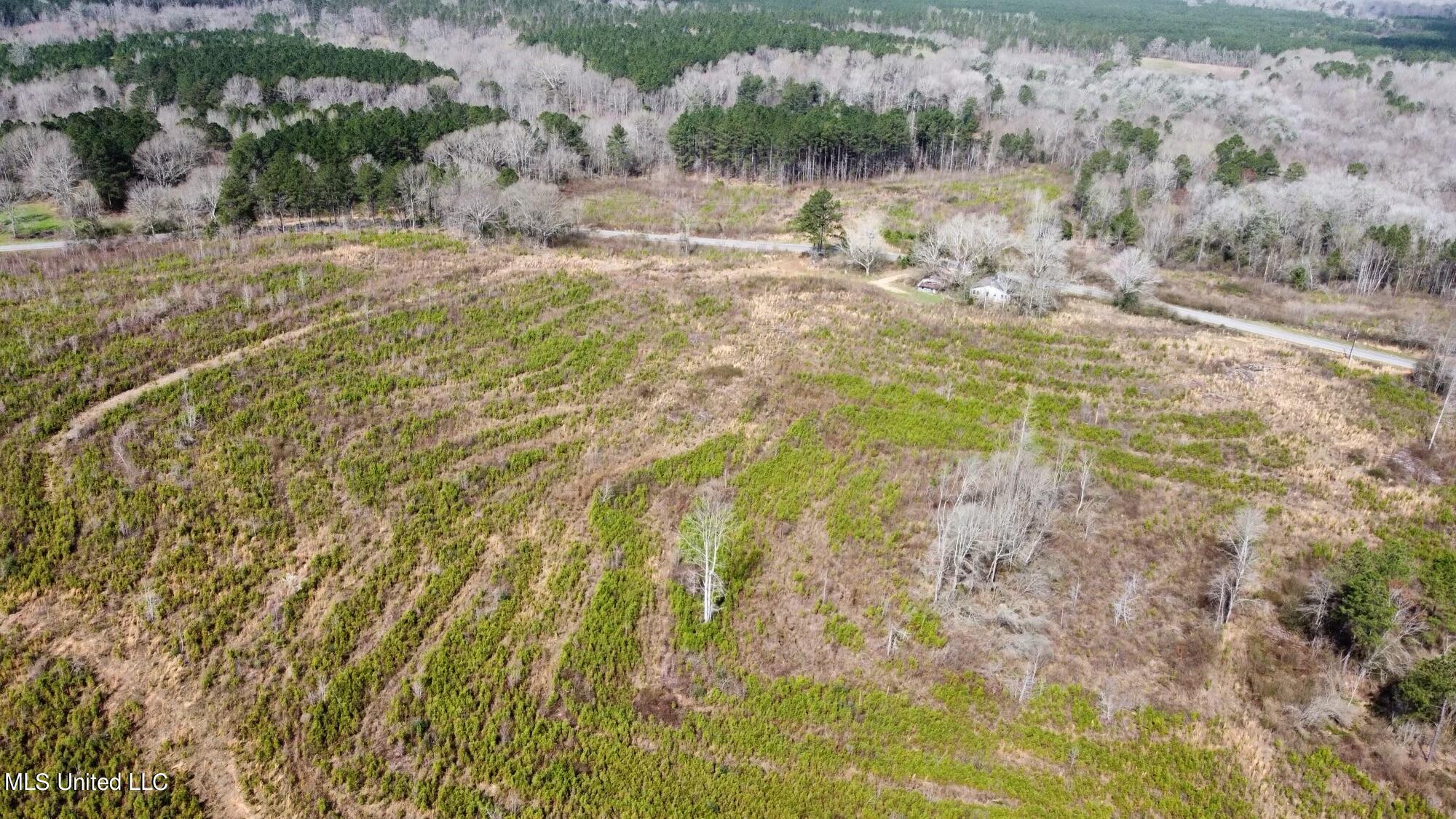 0 Dry Creek Road, Unit 4 Magee, MS 39111 - Photo 13 of 20 dji_fly_20230224_111208_212_167725877514