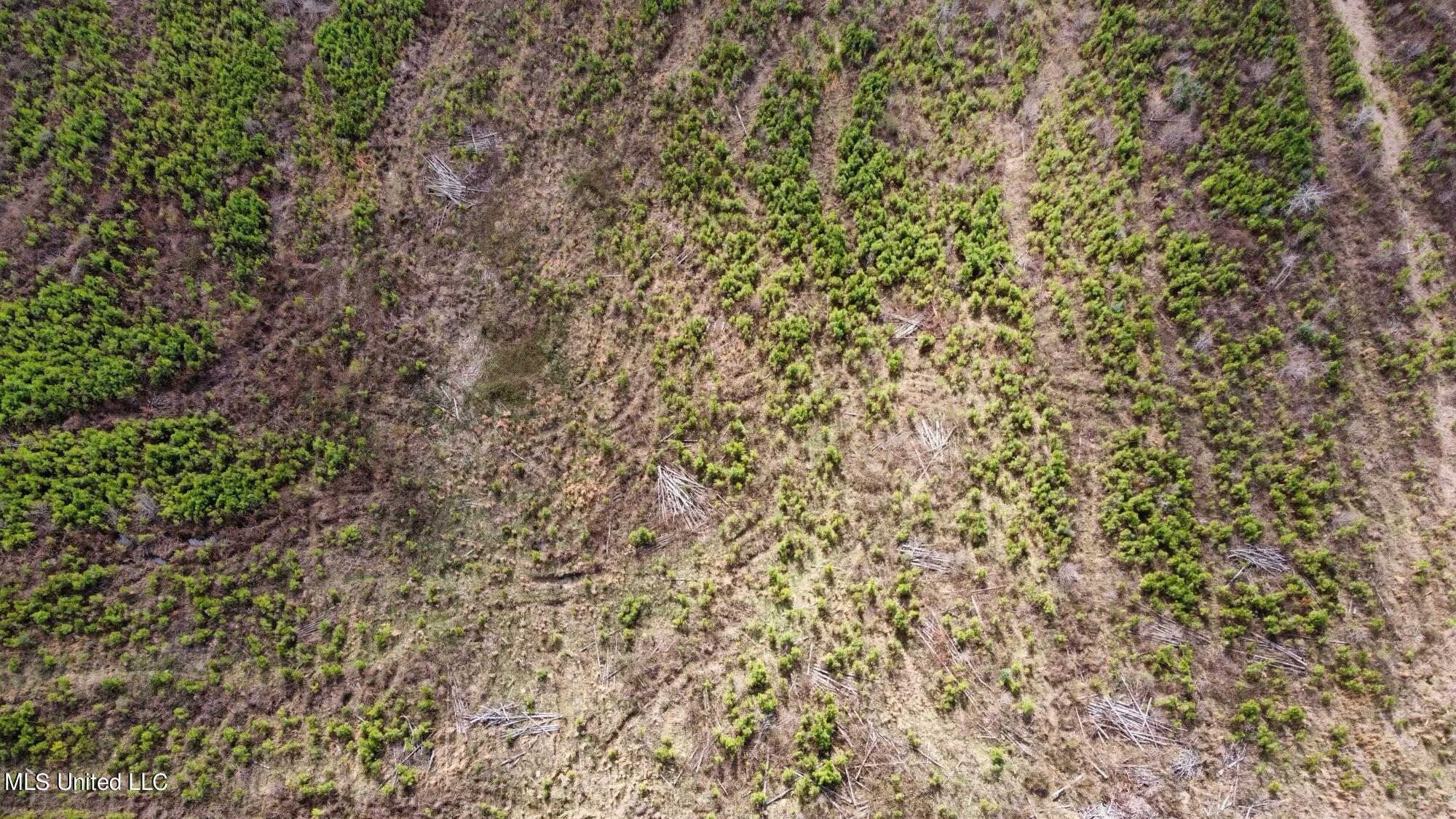 0 Dry Creek Road, Unit 4 Magee, MS 39111 - Photo 15 of 20 dji_fly_20230224_111016_207_167725862534