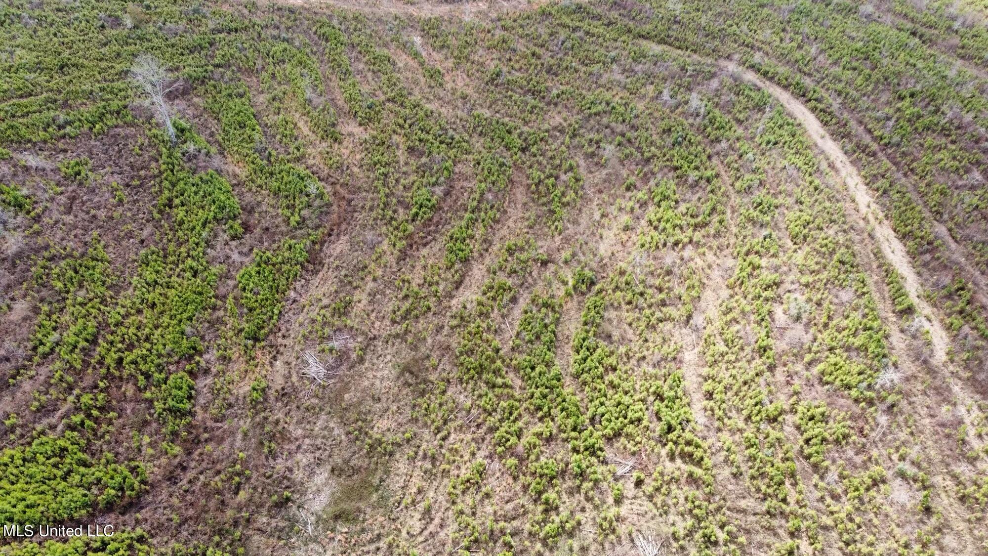 0 Dry Creek Road, Unit 4 Magee, MS 39111 - Photo 18 of 20 dji_fly_20230224_111008_206_167725862646