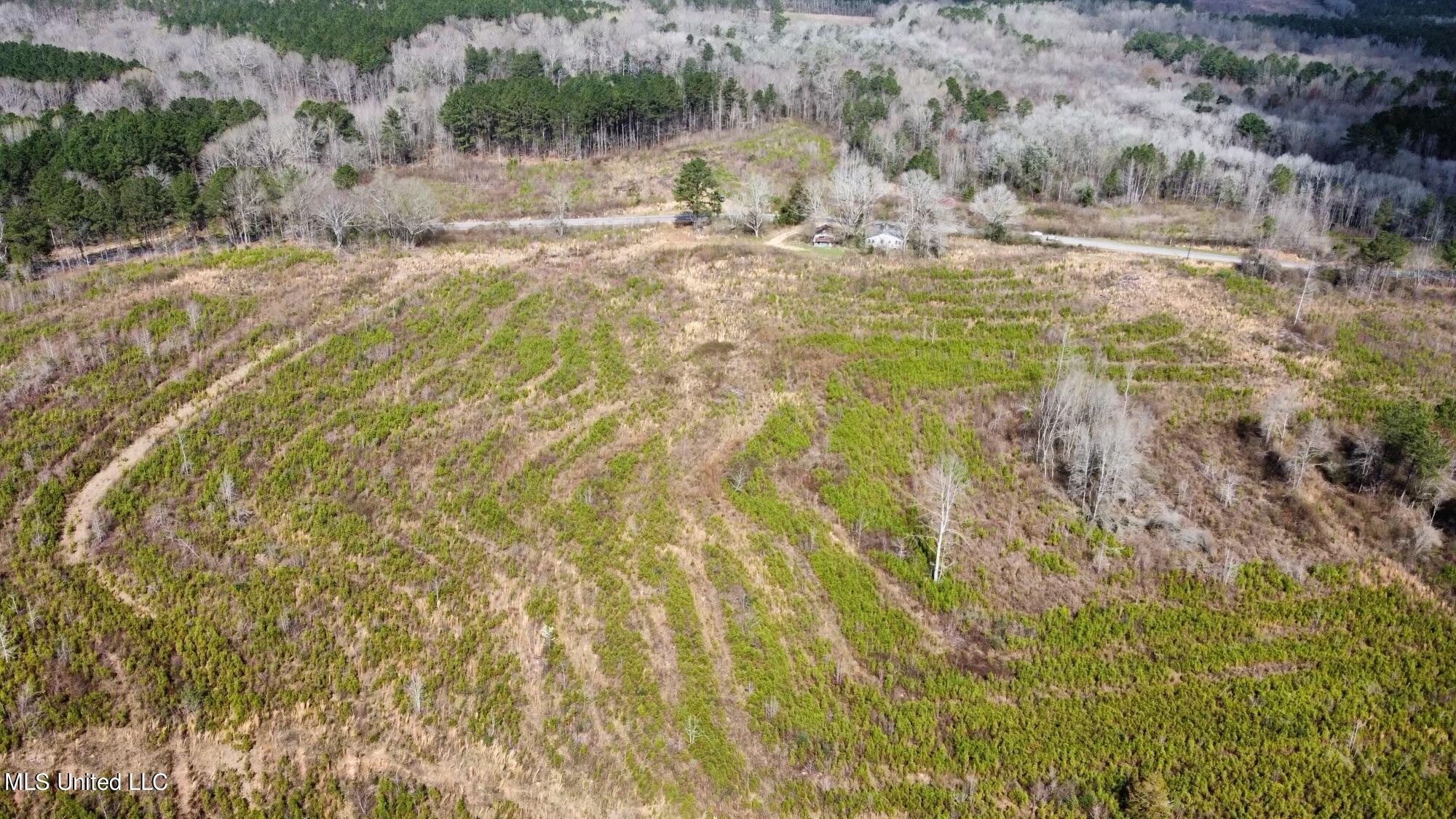 0 Dry Creek Road, Unit 4 Magee, MS 39111 - Photo 20 of 20 dji_fly_20230224_111138_209_167725871148