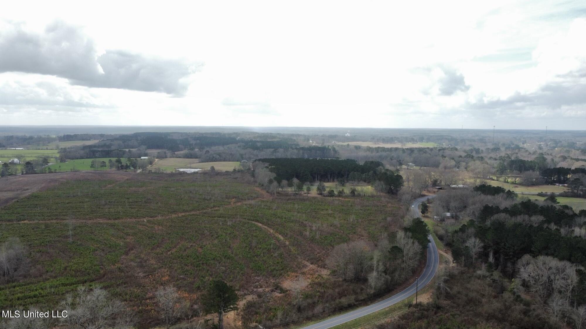 0 Dry Creek Road, Unit 4 Magee, MS 39111 - Photo 10 of 20 dji_fly_20230224_110808_197_167725849787