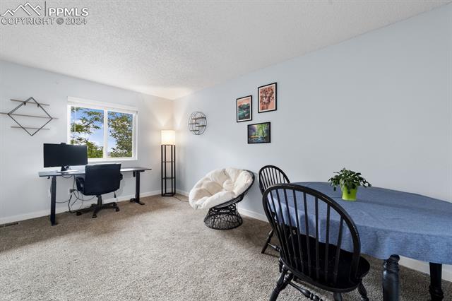 7730 Julynn Road Colorado Springs, CO 80919 - Photo 18 of 48 Office space with carpet floors and a textured ceiling