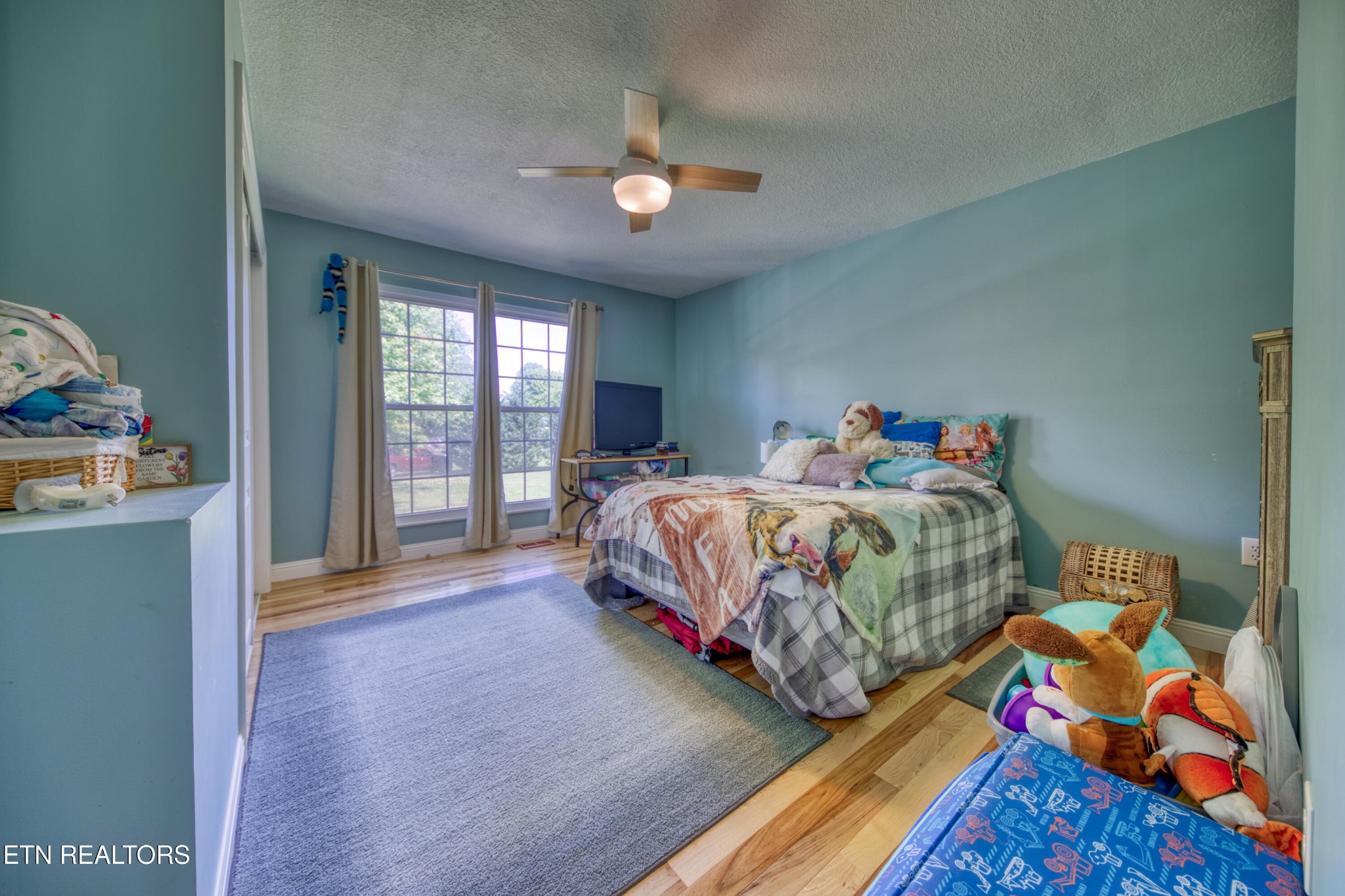 4479 Niles Ferry Road Greenback, TN 37742 - Photo 7 of 42