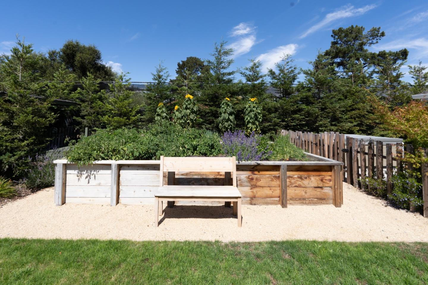 28060 Robinson Canyon Road Carmel, CA 93923 - Photo 26 of 36 a view of a bench in the garden