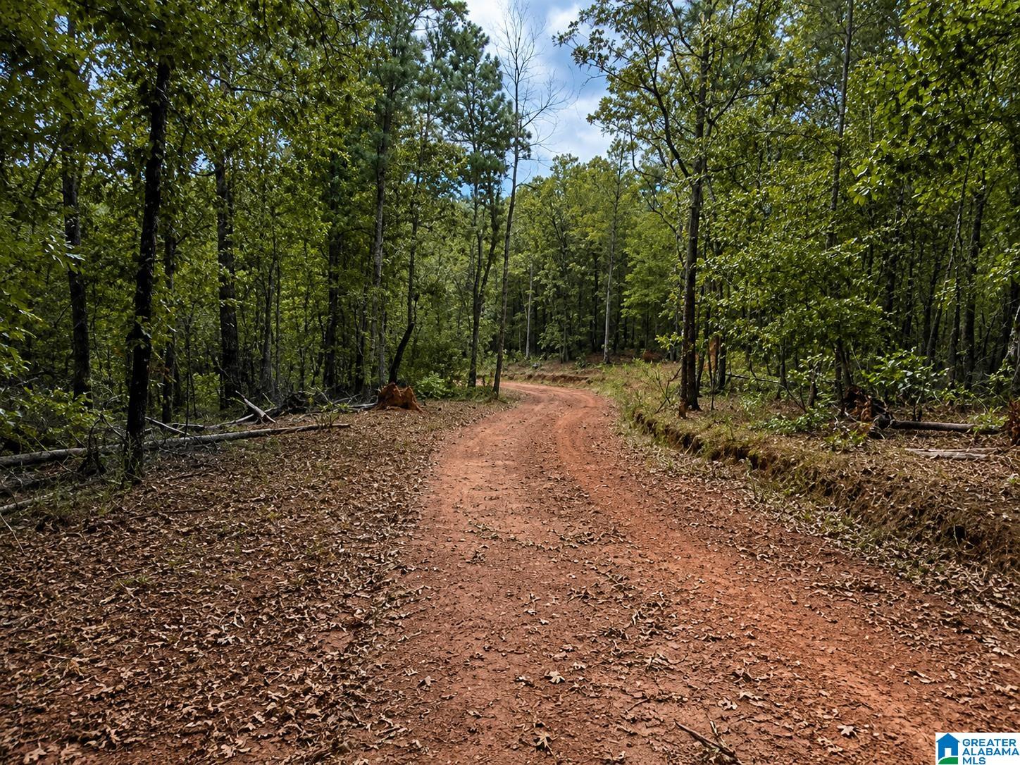 0 Smith Mill Road, Unit 2 Delta, AL 36258 - Photo 1 of 4
