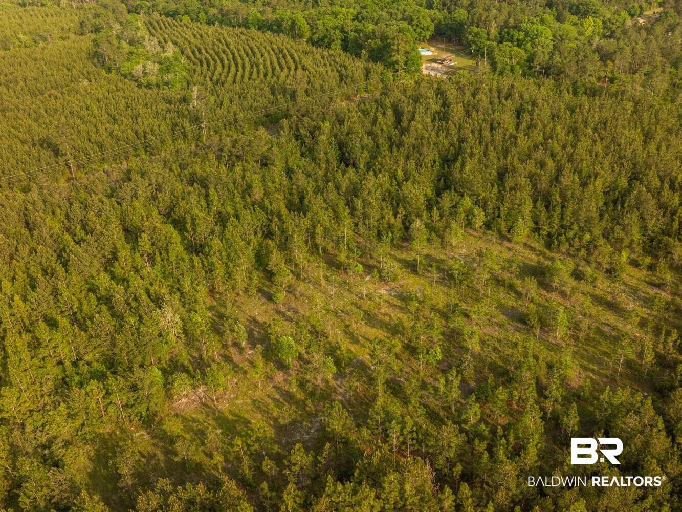 0 Lonnie Hadley Road Perdido, AL 36562 - Photo 22 of 39