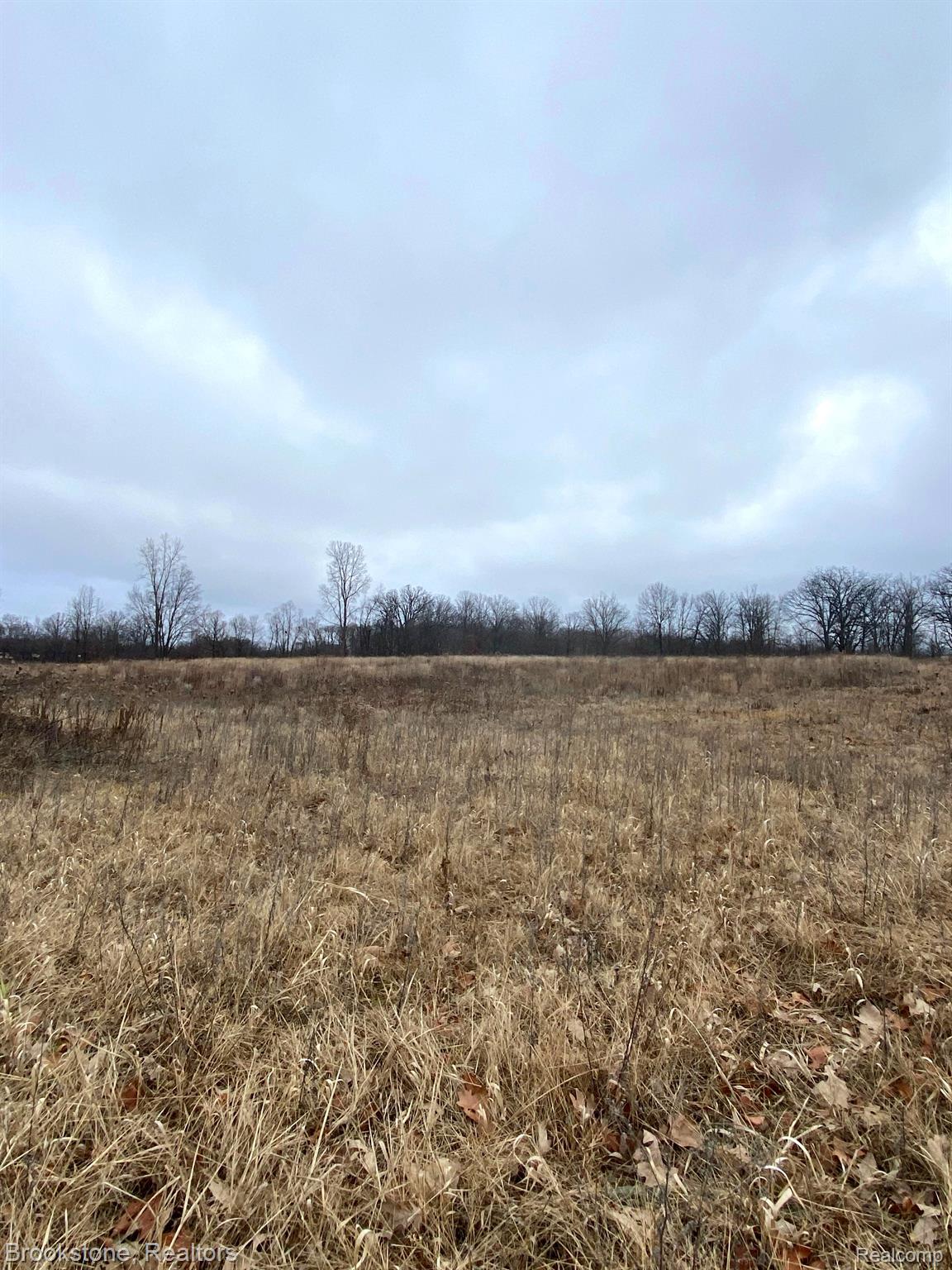Vl Mabley Hill Rd #6 Vl Mabley Hill Road Fenton, MI 48430 - Photo 4 of 9 Gallery Image 4