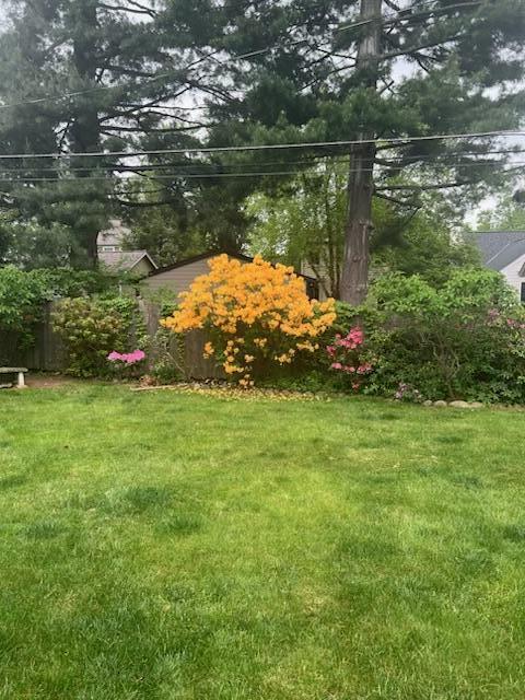 125 Sheffield Road Columbus, OH 43214 - Photo 58 of 60 Yard in spring