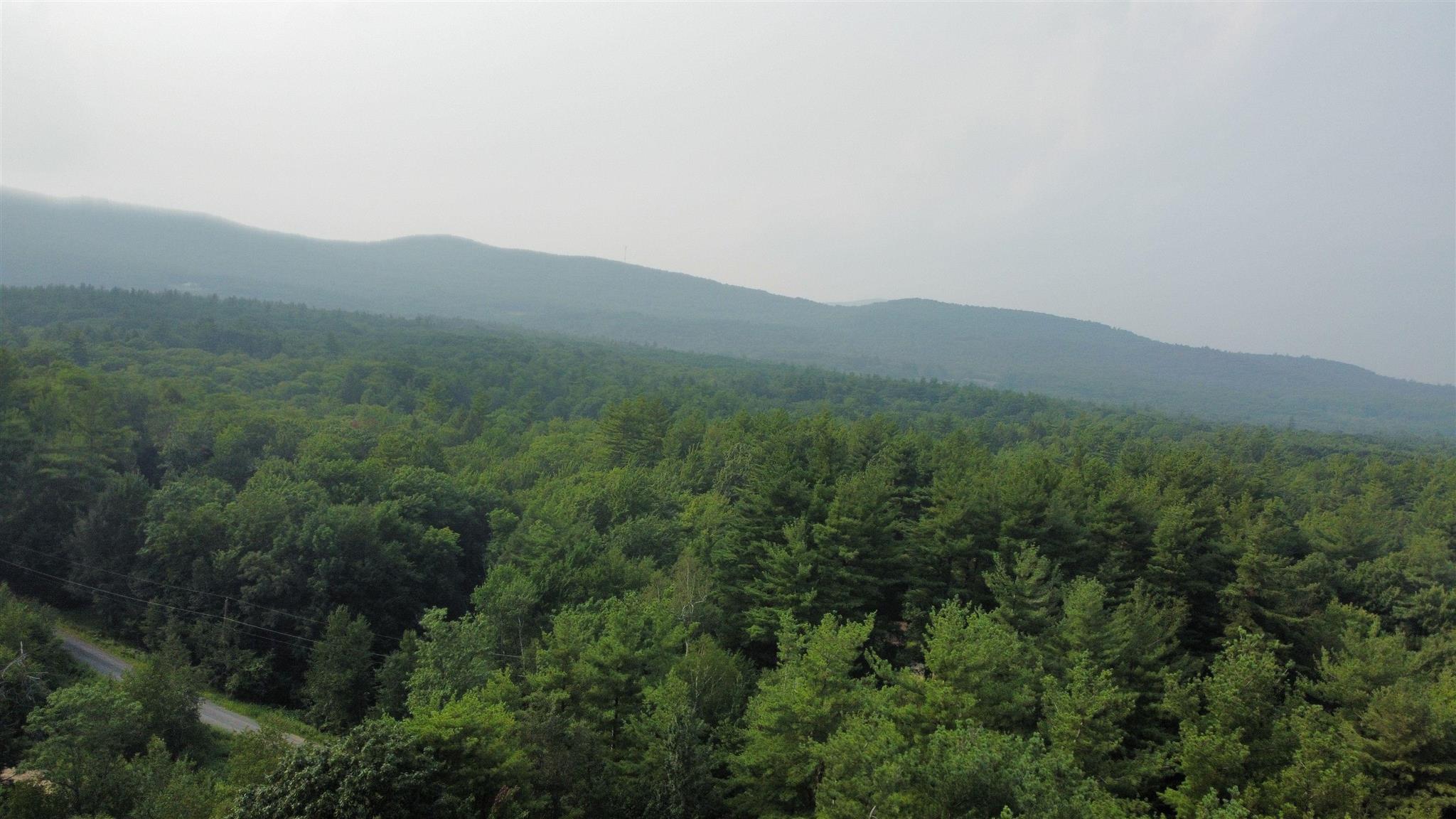 28 Twillingate Road Temple, NH 03084 - Photo 39 of 39