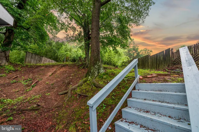 a view of stairs and with trees in the background