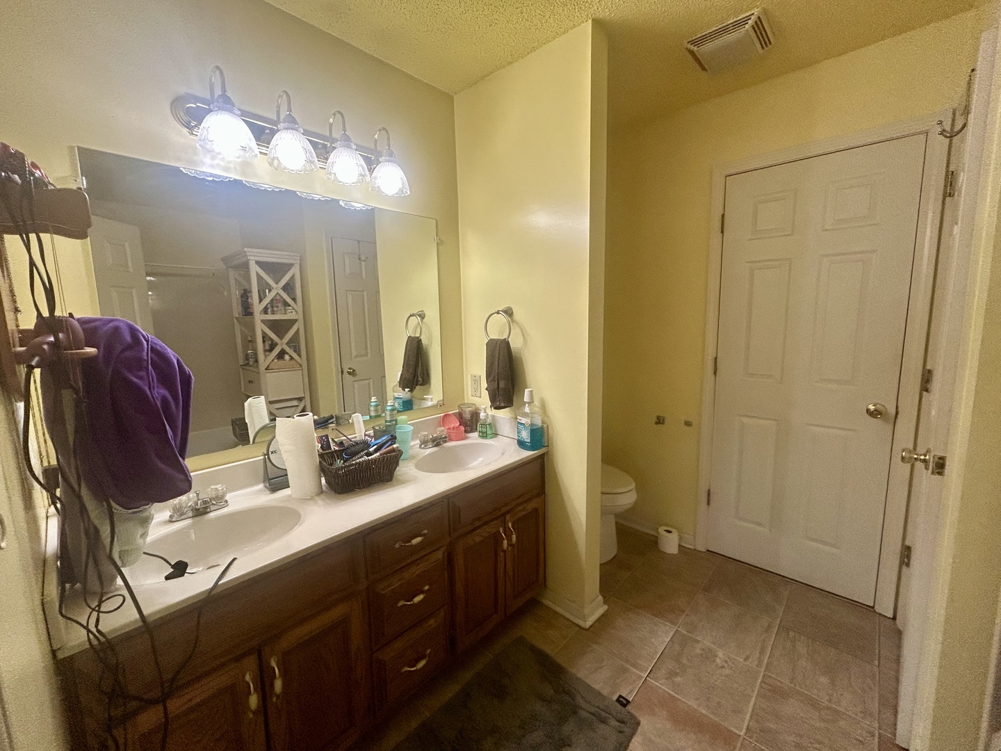 6 Carriage Lane Metropolis, IL 62960 - Photo 28 of 35 a bathroom with a double vanity sink mirror and