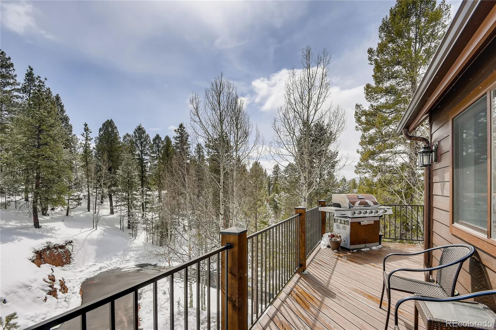 34417 Highview Drive Pine, CO 80470 - Photo 25 of 36