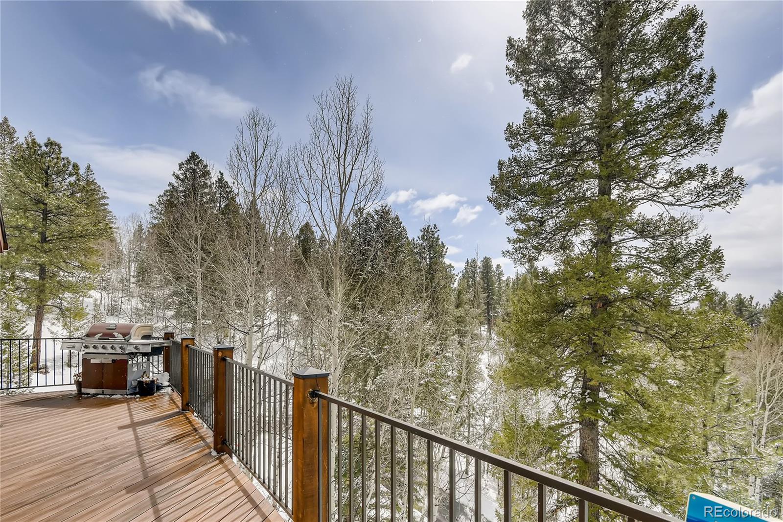 34417 Highview Drive Pine, CO 80470 - Photo 26 of 36