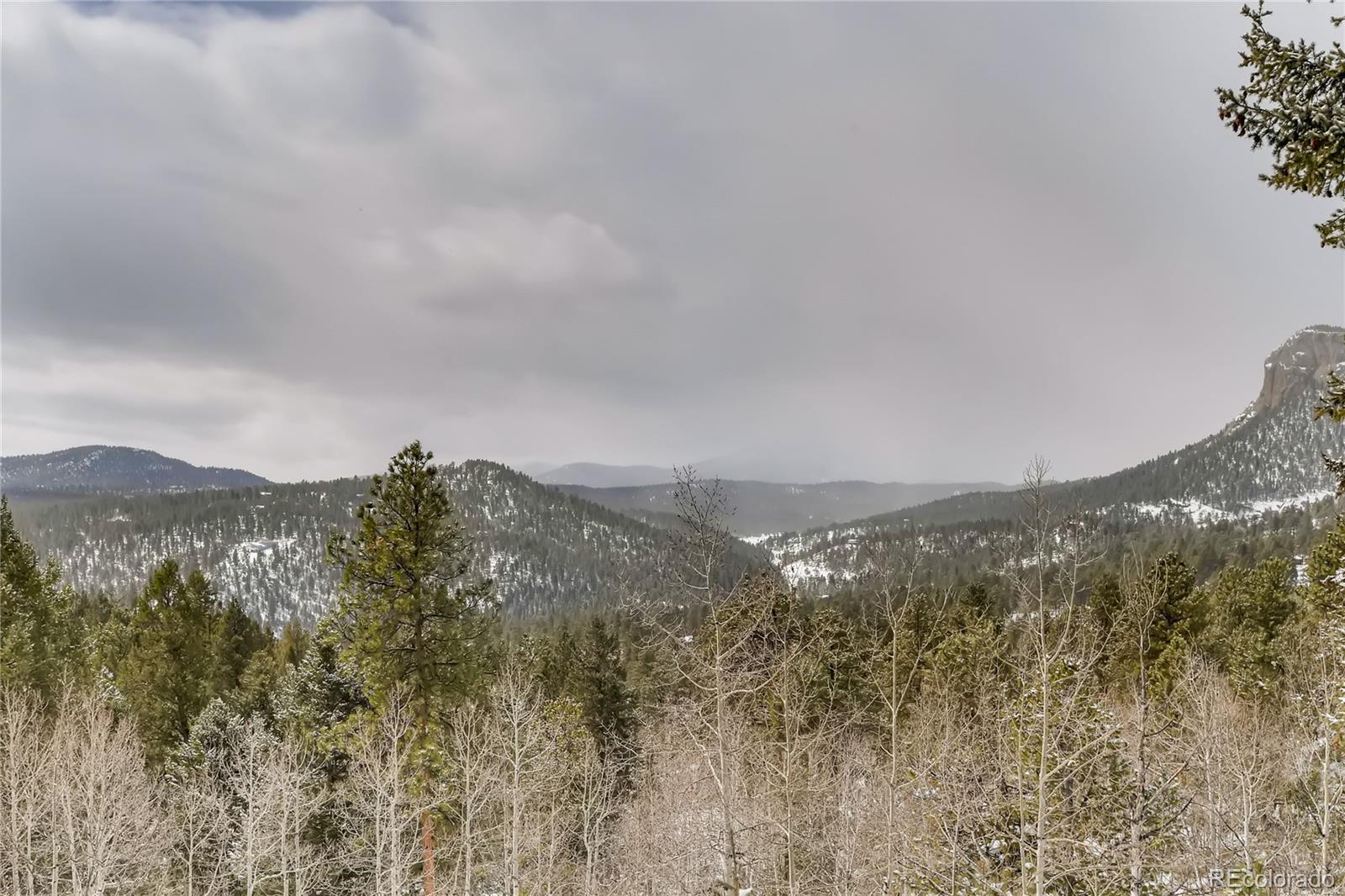 34417 Highview Drive Pine, CO 80470 - Photo 27 of 36