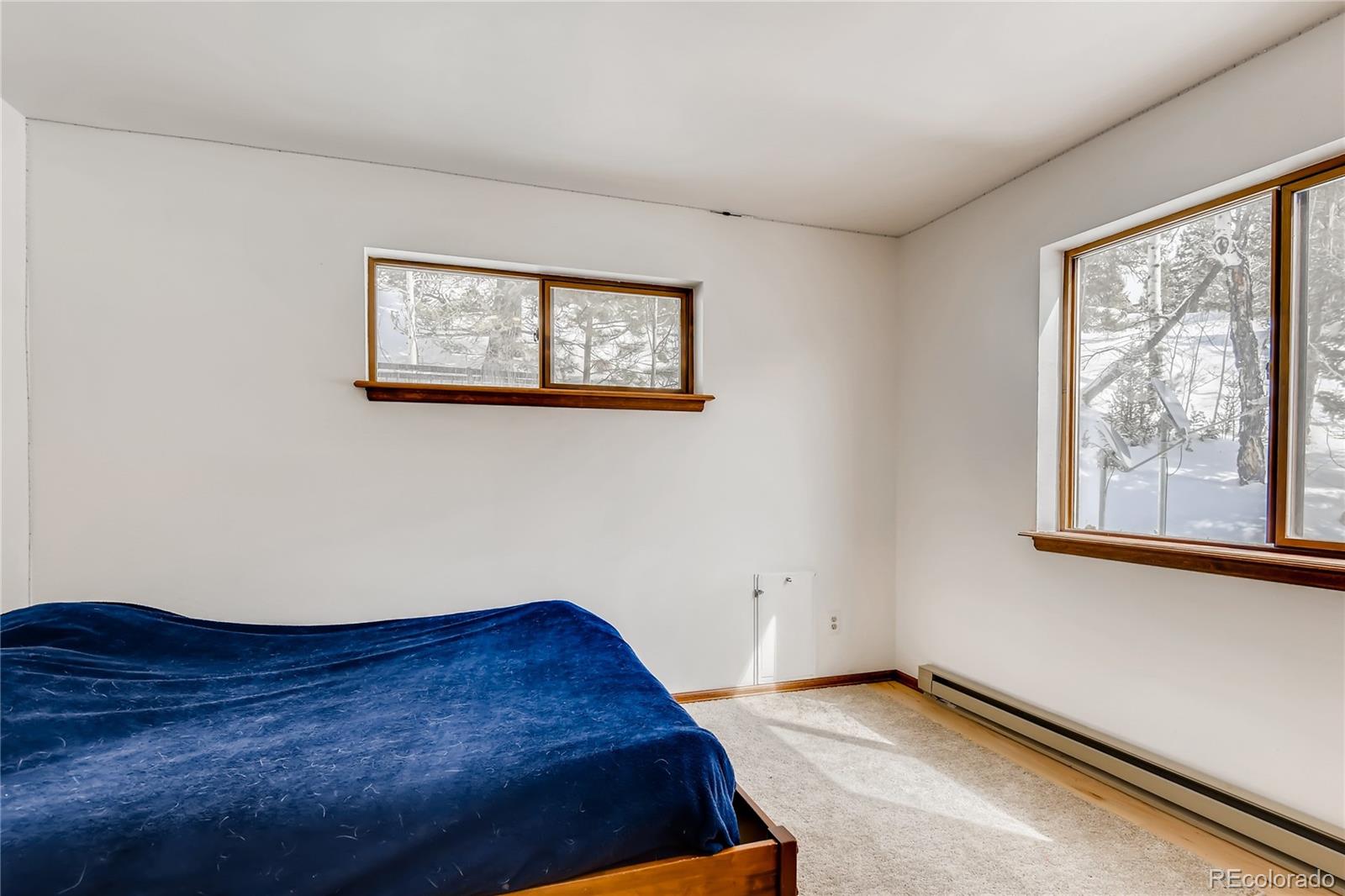 34417 Highview Drive Pine, CO 80470 - Photo 9 of 36