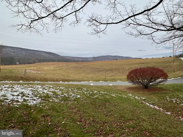 a view of a house with a yard and potted plants