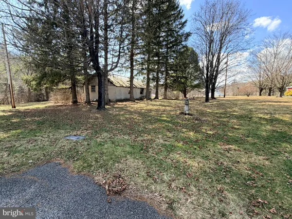 a front view of a house with yard tree s
