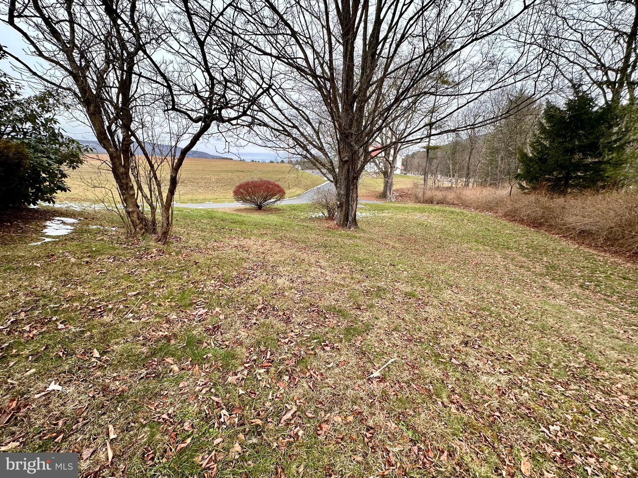 242 Gracey Road Waterfall, PA 16689 - Photo 3 of 40 a view of large trees with yard