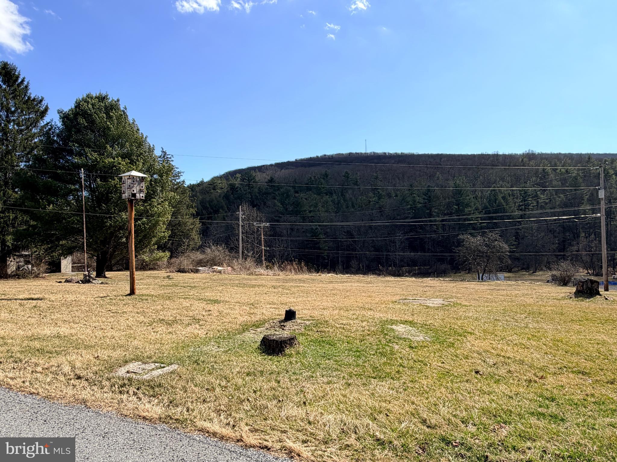 242 Gracey Road Waterfall, PA 16689 - Photo 38 of 40 a view of a backyard of the house