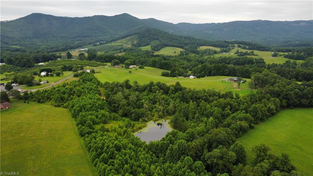 0 Mountain View Road Cana, VA 24317 - Photo 1 of 15 Gallery Image 1