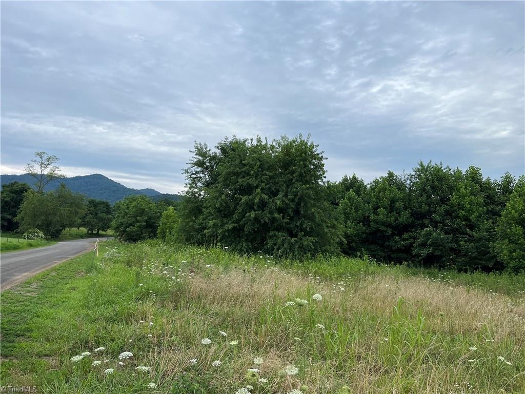 0 Mountain View Road Cana, VA 24317 - Photo 2 of 15 Gallery Image 2