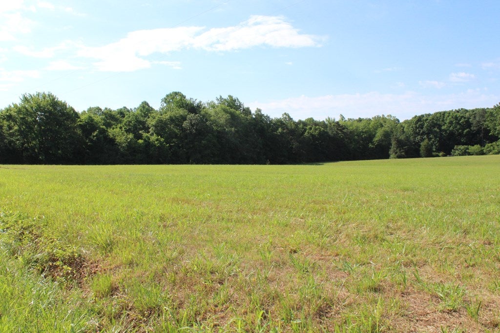 626 Lot 1 Prospect Road, Unit 1 Prospect, VA 23960 - Photo 3 of 5 Gallery Image 3