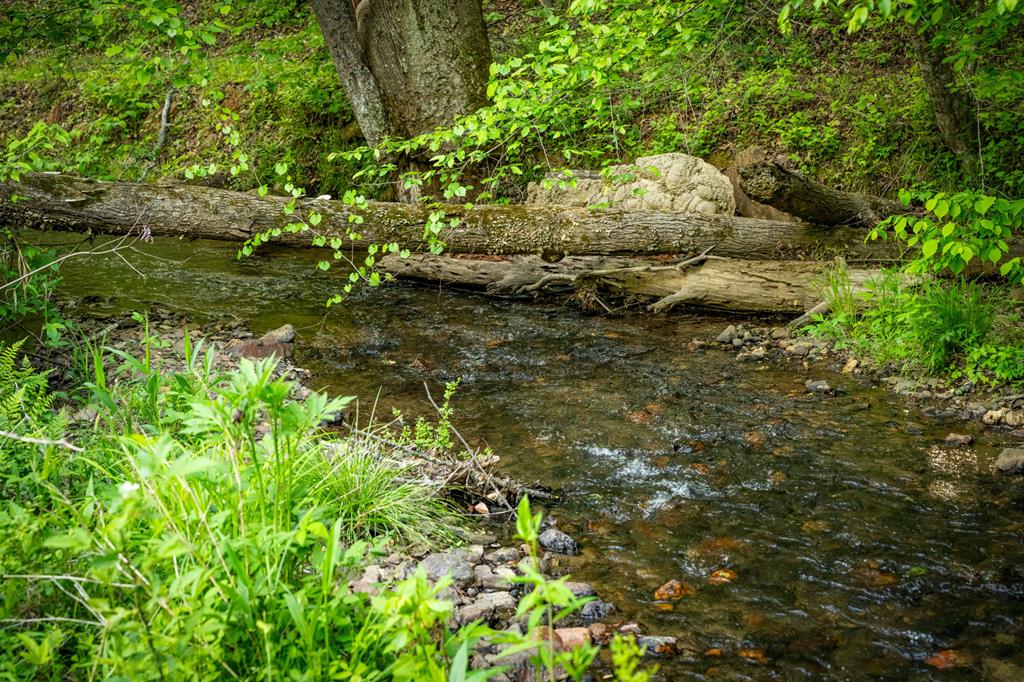460 Wikle Drive Ellijay, GA 30540 - Photo 3 of 81 Ellijay River Frontage & River Access