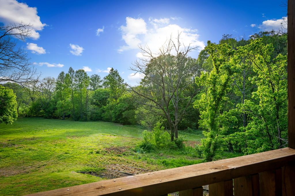 460 Wikle Drive Ellijay, GA 30540 - Photo 50 of 81 Fabulous family/recreation room - terrace