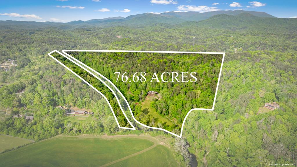 460 Wikle Drive Ellijay, GA 30540 - Photo 5 of 81 Several pasture areas on the property