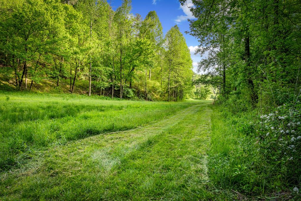 460 Wikle Drive Ellijay, GA 30540 - Photo 68 of 81