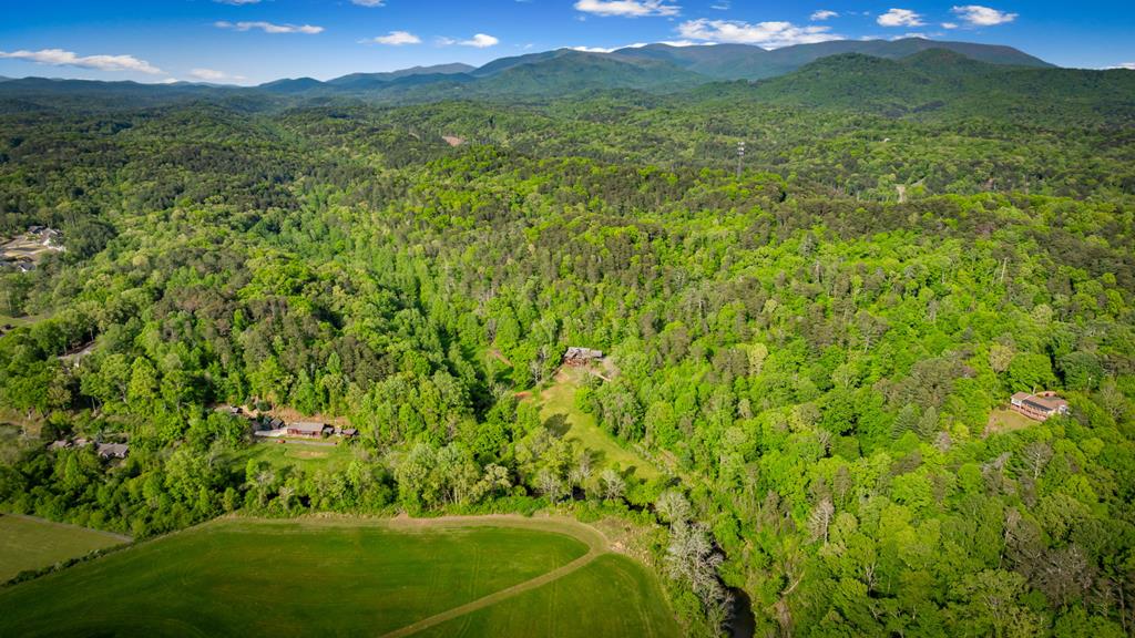 460 Wikle Drive Ellijay, GA 30540 - Photo 76 of 81
