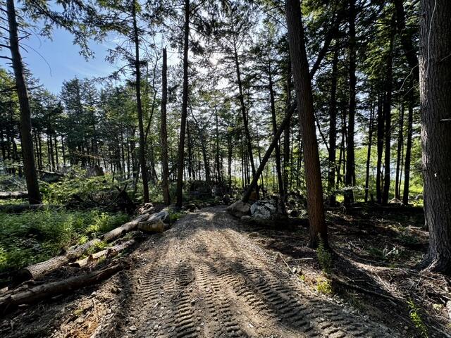 Lot 1 Skogen Ridge Drive Belgrade, ME 04917 - Photo 8 of 13 IMG_5434