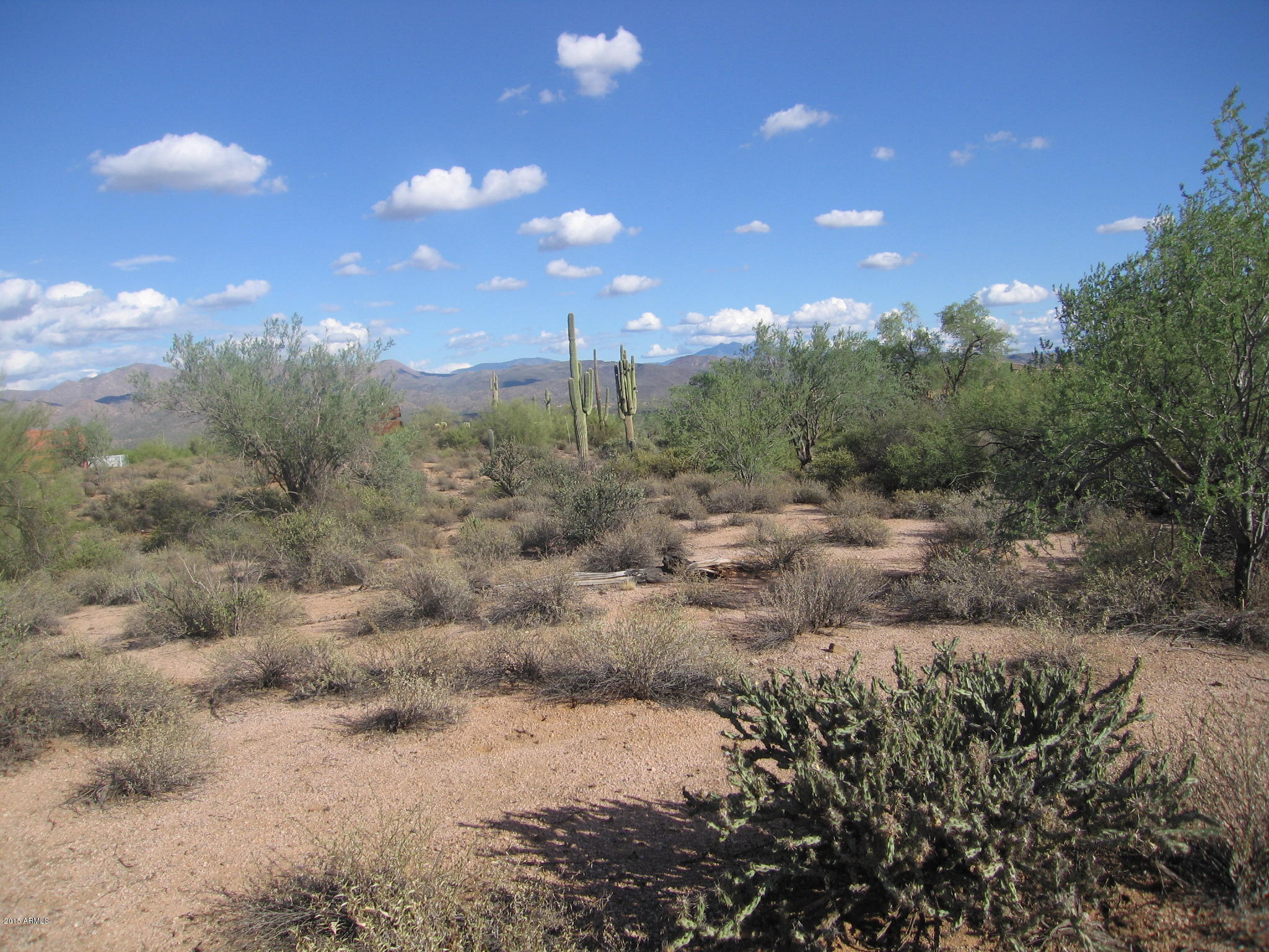 30600 North 174th Street Rio Verde, AZ 85263 - Photo 2 of 7 LUSH DESERT VEGETATION