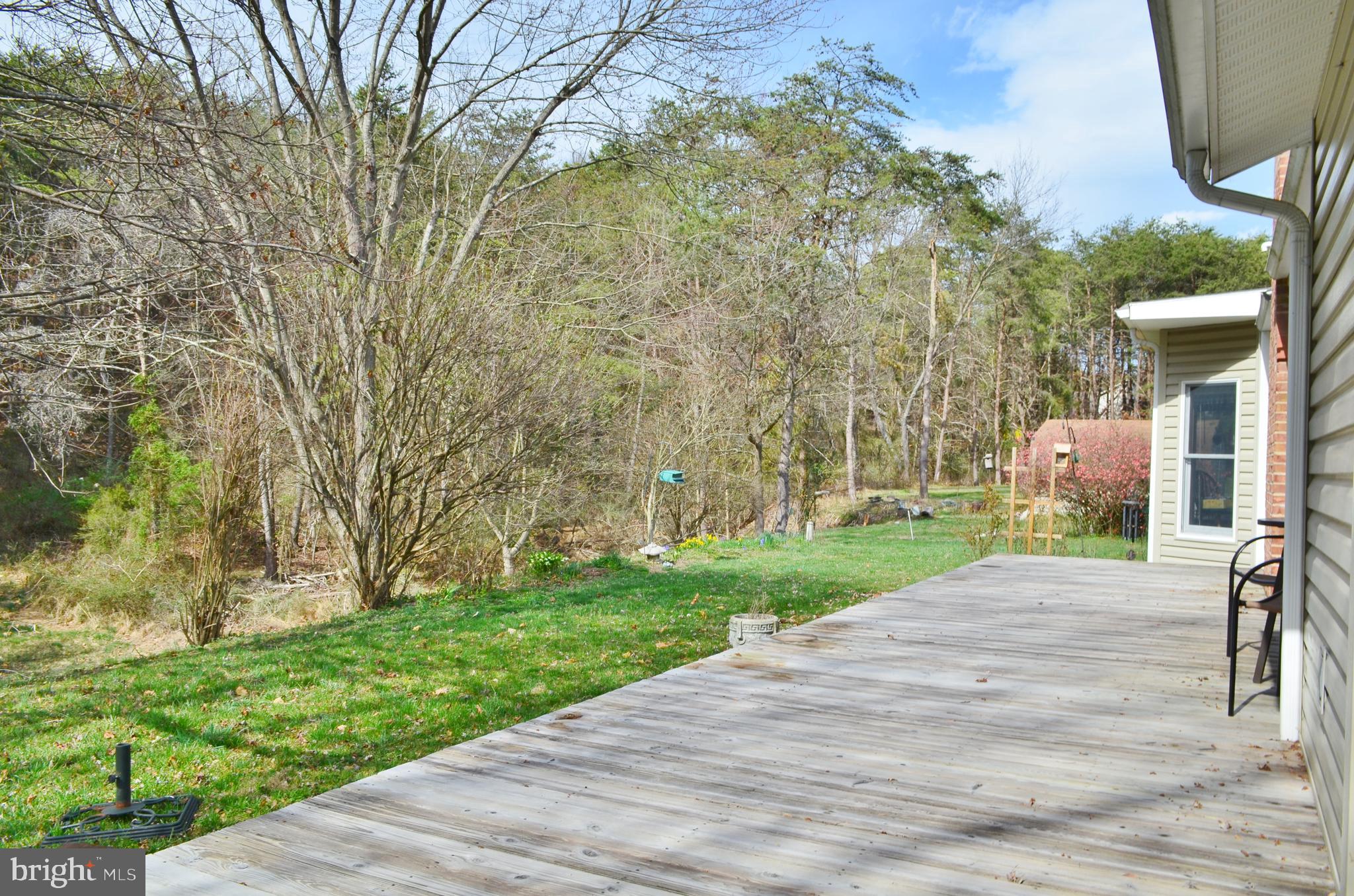 10207 Senedo Road Mount Jackson, VA 22842 - Photo 12 of 47