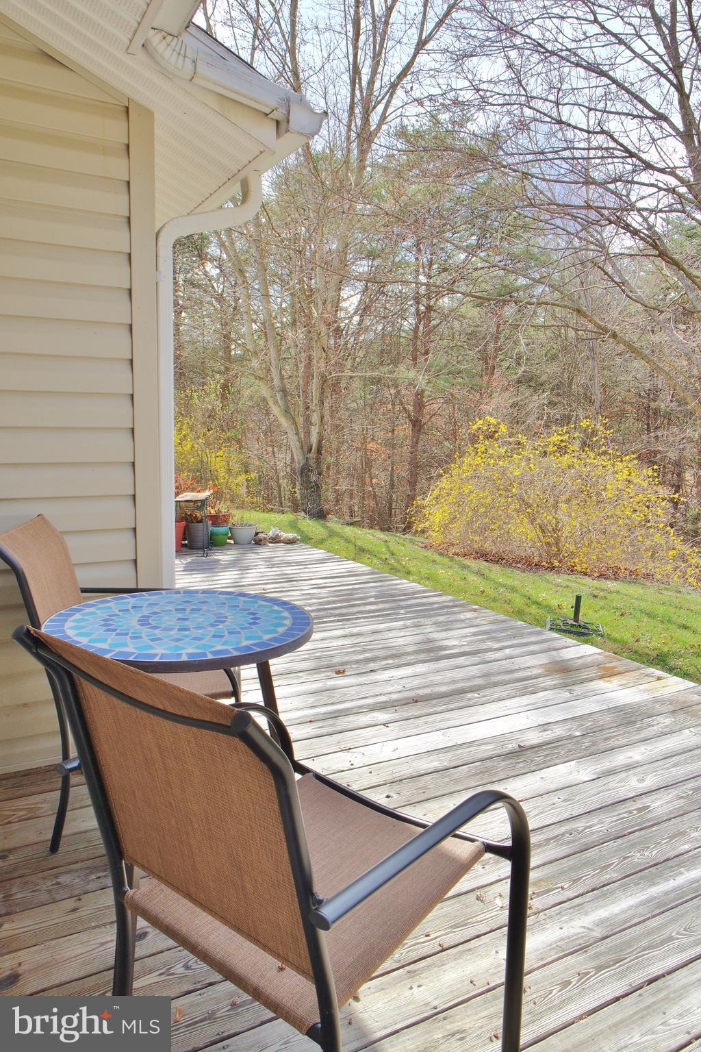 10207 Senedo Road Mount Jackson, VA 22842 - Photo 13 of 47