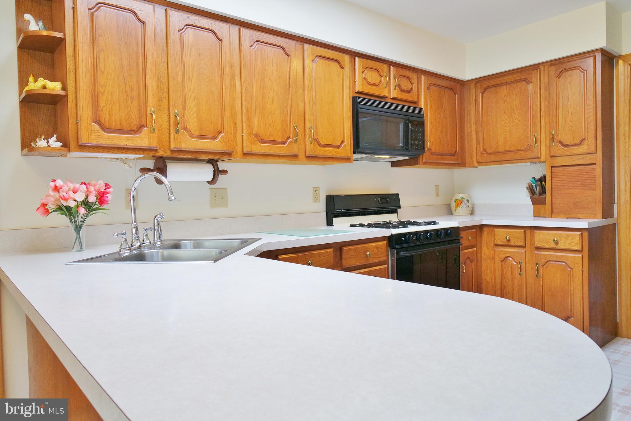 10207 Senedo Road Mount Jackson, VA 22842 - Photo 18 of 47