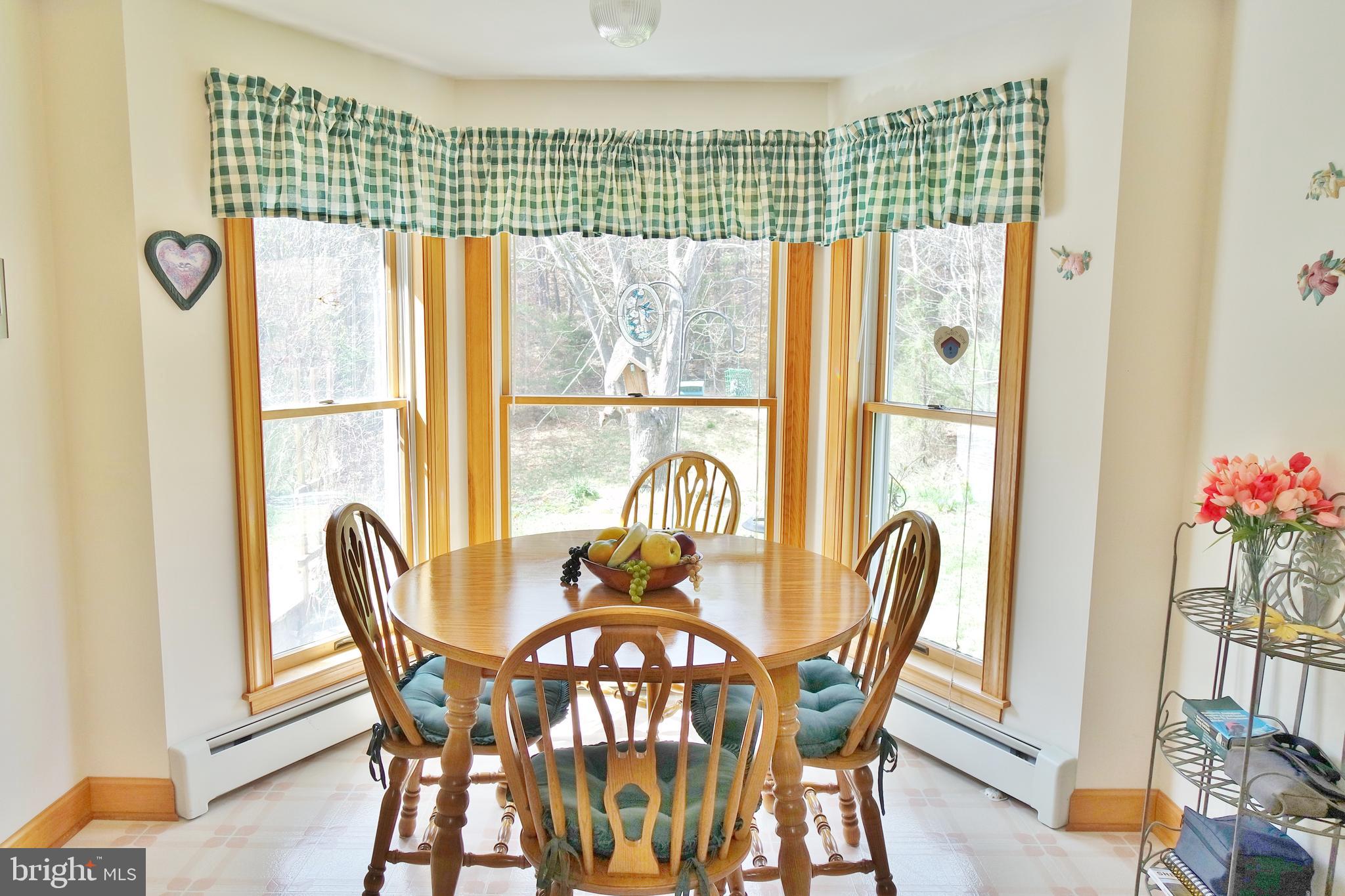 10207 Senedo Road Mount Jackson, VA 22842 - Photo 20 of 47