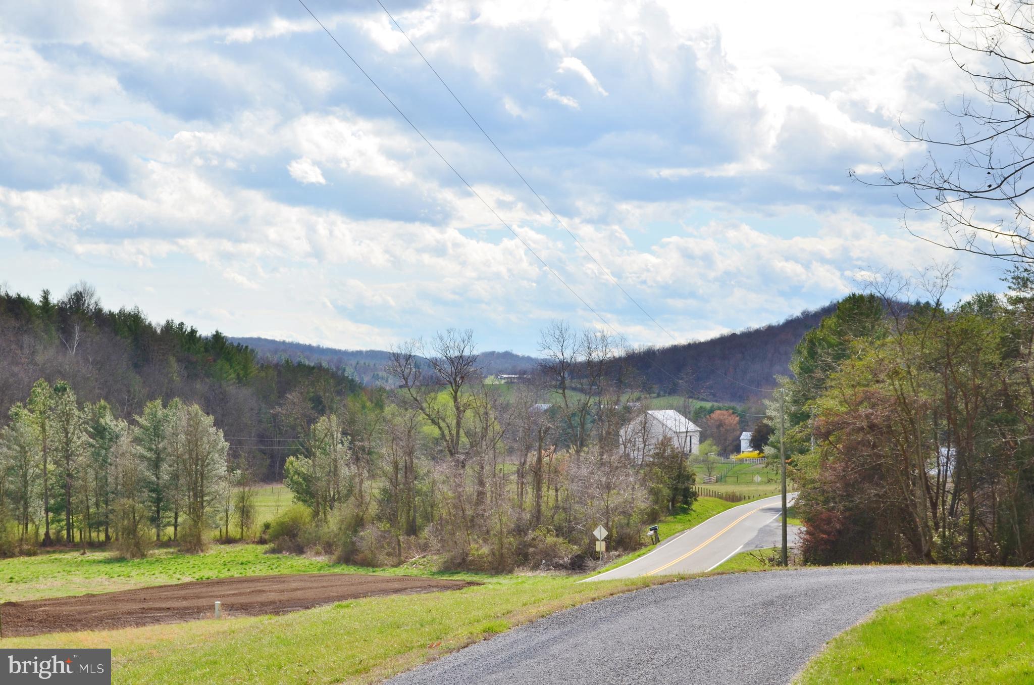 10207 Senedo Road Mount Jackson, VA 22842 - Photo 2 of 47